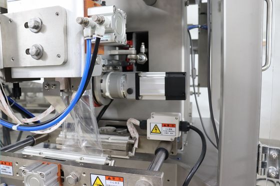 12 Teste 0,8L Granuli di tenuta termica Macchina di imballaggio per animali da compagnia per imballaggio di noci in sacchetto