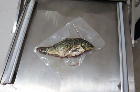 Macchina di imballaggio a vuoto a doppia camera azionata elettricamente per pane vegetale pesce e frutti di mare 120 kg