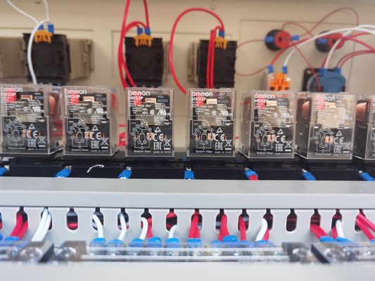 Forno a galleria di riduzione del calore completamente automatico per soluzioni di imballaggio industriale personalizzate