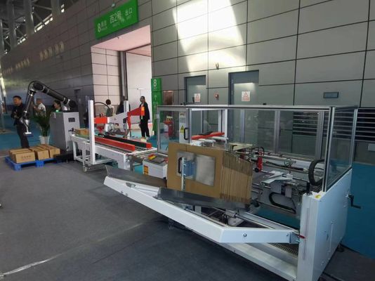 Palletizzatore robotico a propulsione pneumatica completamente automatico per soluzioni di imballaggio per abbigliamento