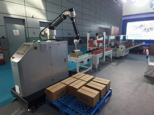 IP65 Linea di imballaggio con cassa cartoncino scatola sacchetto sistema palettizzatore di selatore pieghevole