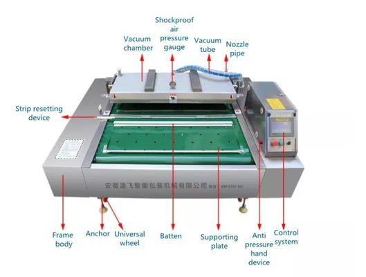 Motore elettrico 1000 doppia striscia auto prodotti di fagioli e verdure selvatiche macchina di imballaggio a vuoto continuo