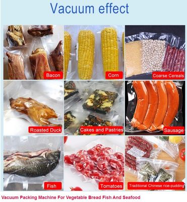 220V/50HZ macchina di sigillamento a vuoto verticale a doppia camera per imballaggi alimentari commerciali