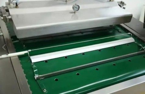 Dimensione massima del pacchetto 1000*420*9mm Macchina di sigillamento automatico a vuoto per carne, pesce e pollo