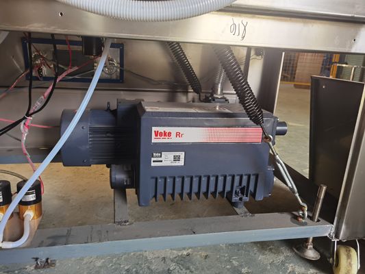 2200W Pump rate 100m3/h Fish Steak Meat Vacuum Packaging Machine con doppia camera