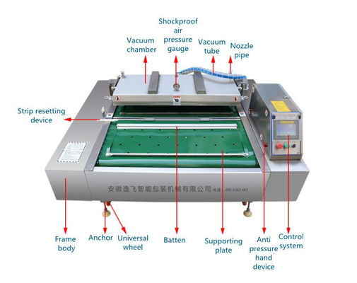 380V Convey Belt Vacuum Sealer per la lavorazione industriale di carni, verdure e pesce