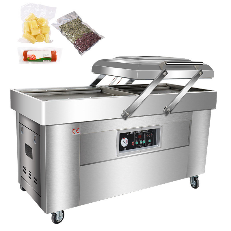 220V/380V Voltage DZ500/2S Food Bag Vacuum Packing Machine con opzione di riempimento a gas